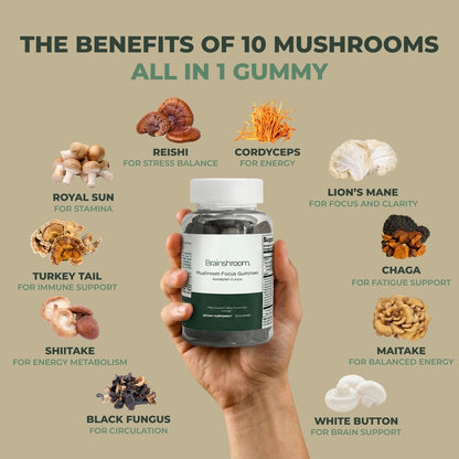 Brainshroom® Mushroom Gummies